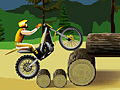 Stunt Dirt Bike online oynamak için