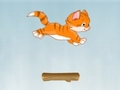 Kitty Jump online oynamak için