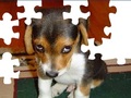 Sevimli Köpek Puzzle online oynamak için