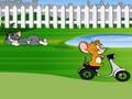 Tom ve Jerry Backyard Ride online oynamak için