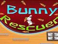 Bunny Kurtarıcı online oynamak için