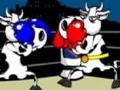 Cow Fighter online oynamak için