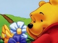 Pooh Gizli Nesne Winnie online oynamak için