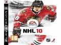 NHL 10 Jigsaw online oynamak için