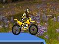 Hillblazer FMX online oynamak için