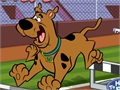 Scooby Doo - Engelli online oynamak için