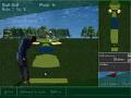 Golf online oynamak için